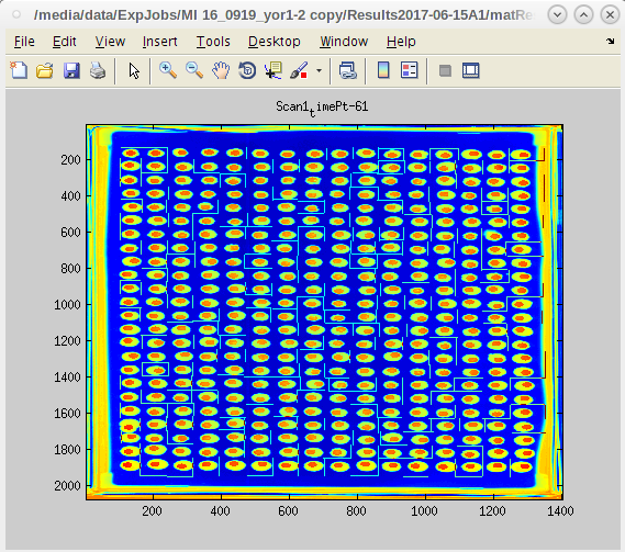 Search focus Search focus