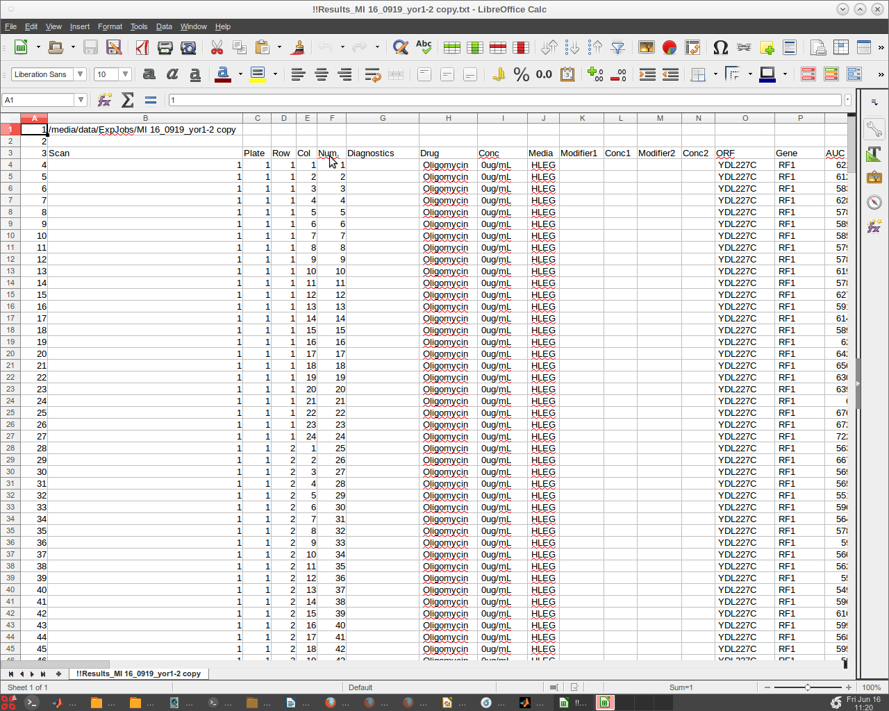 Results file